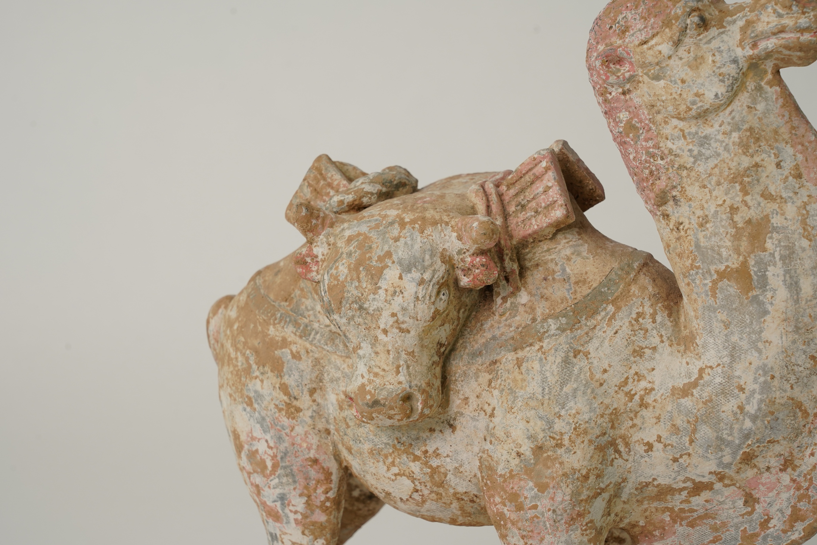 A Chinese pottery tomb figure of a Bactrian camel, Tang dynasty or later